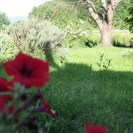 Rosso Papavero * Borgo San Lorenzo