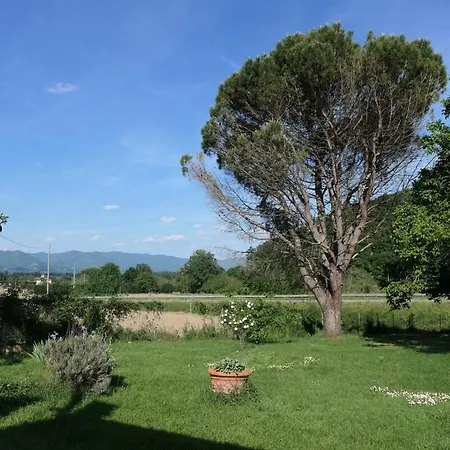 Rosso Papavero * Борго-Сан-Лоренцо