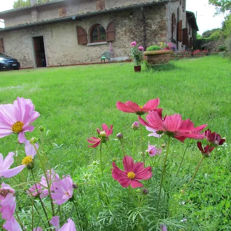 Holiday home Rosso Papavero Borgo San Lorenzo